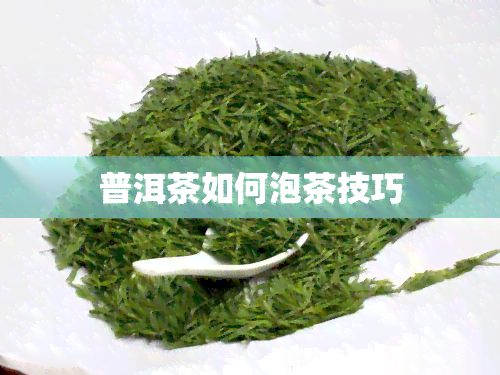 普洱茶如何泡茶技巧