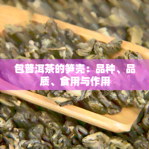 包普洱茶的笋壳：品种、品质、食用与作用