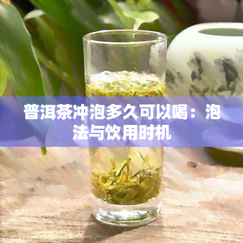 普洱茶冲泡多久可以喝：泡法与饮用时机