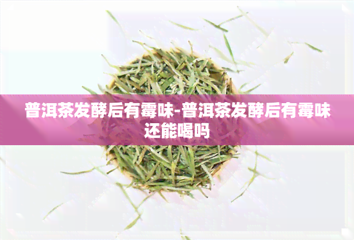 普洱茶发酵后有霉味-普洱茶发酵后有霉味还能喝吗