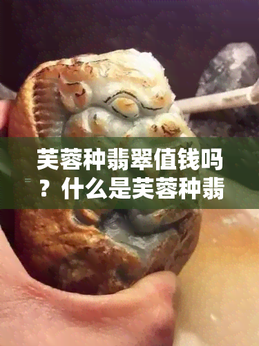 芙蓉种翡翠值钱吗？什么是芙蓉种翡翠？有收藏价值吗？