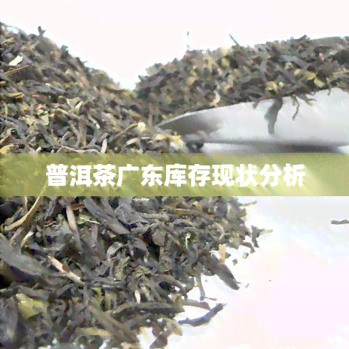 普洱茶广东库存现状分析