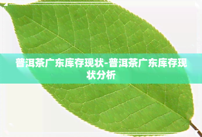 普洱茶广东库存现状-普洱茶广东库存现状分析