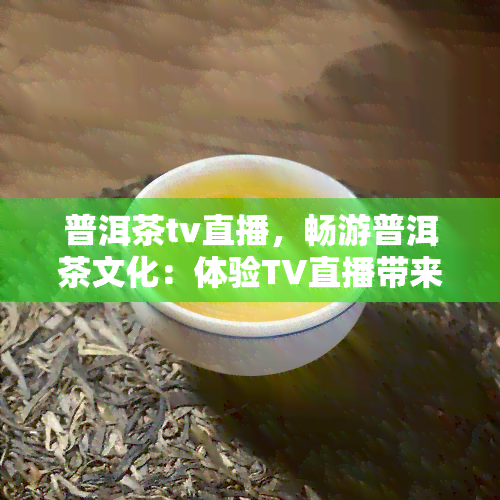 普洱茶tv直播，畅游普洱茶文化：体验TV直播带来的乐趣