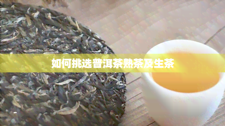 如何挑选普洱茶熟茶及生茶