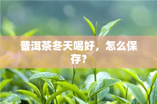 普洱茶冬天喝好，怎么保存？