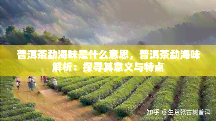 普洱茶勐海味是什么意思，普洱茶勐海味解析：探寻其意义与特点