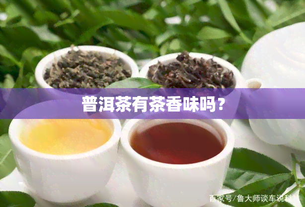 普洱茶有茶香味吗？