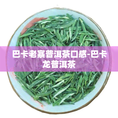 巴卡老寨普洱茶口感-巴卡龙普洱茶