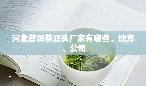 河北普洱茶源头厂家有哪些、地方、公司