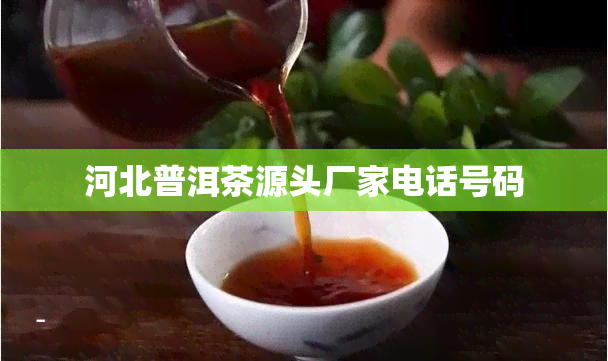 河北普洱茶源头厂家电话号码