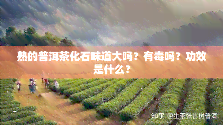 熟的普洱茶化石味道大吗？有吗？功效是什么？