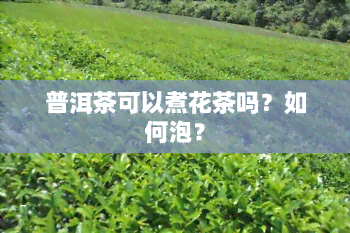 普洱茶可以煮花茶吗？如何泡？