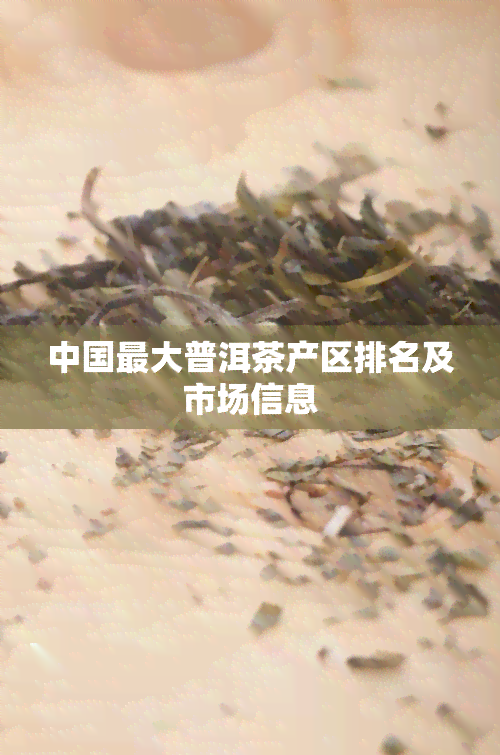 中国更大普洱茶产区排名及市场信息