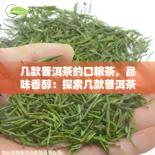 几款普洱茶的口粮茶，品味香醇：探索几款普洱茶的口粮茶