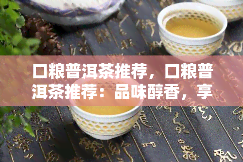 口粮普洱茶推荐，口粮普洱茶推荐：品味醇香，享受生活的美好