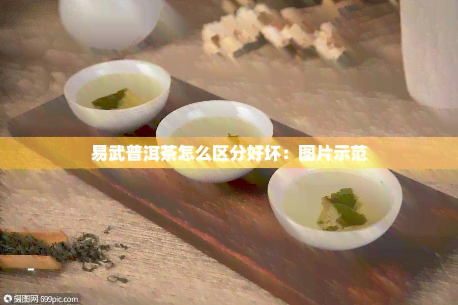 易武普洱茶怎么区分好坏：图片示范