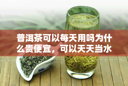 普洱茶可以每天用吗为什么贵便宜，可以天天当水喝吗？