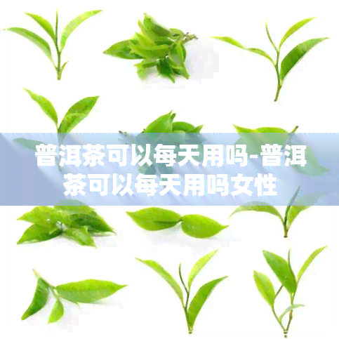 普洱茶可以每天用吗-普洱茶可以每天用吗女性