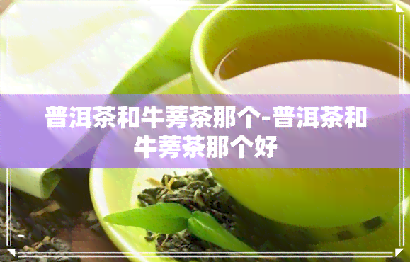 普洱茶和牛蒡茶那个-普洱茶和牛蒡茶那个好