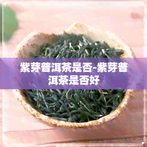 紫芽普洱茶是否-紫芽普洱茶是否好