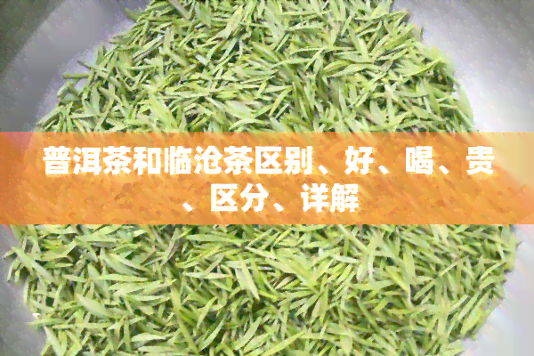 普洱茶和临沧茶区别、好、喝、贵、区分、详解