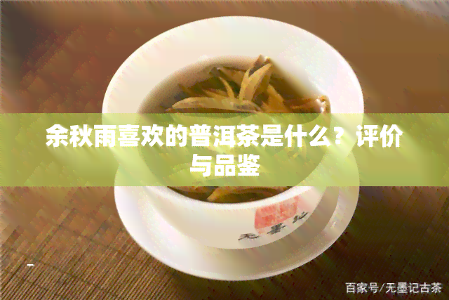 余秋雨喜欢的普洱茶是什么？评价与品鉴