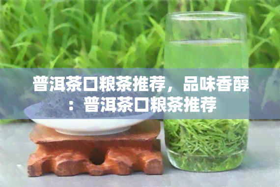 普洱茶口粮茶推荐，品味香醇：普洱茶口粮茶推荐