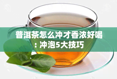 普洱茶怎么冲才香浓好喝: 冲泡5大技巧