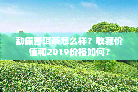 勐傣普洱茶怎么样？收藏价值和2019价格如何？