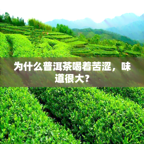 为什么普洱茶喝着苦涩，味道很大？