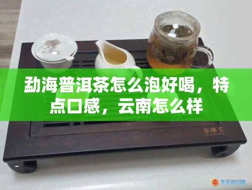 勐海普洱茶怎么泡好喝，特点口感，云南怎么样