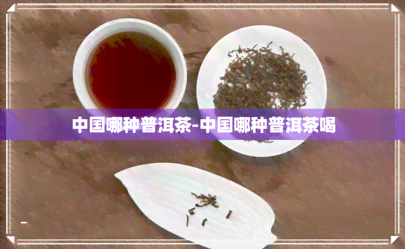 中国哪种普洱茶-中国哪种普洱茶喝