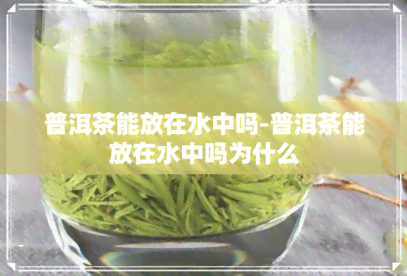 普洱茶能放在水中吗-普洱茶能放在水中吗为什么