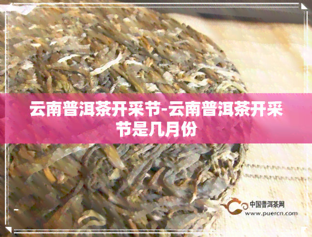 云南普洱茶开采节-云南普洱茶开采节是几月份