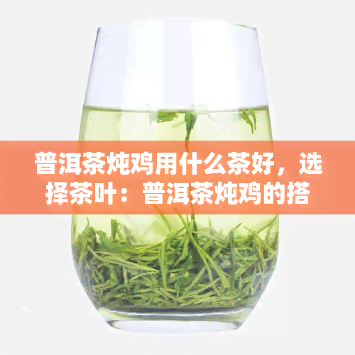 普洱茶炖鸡用什么茶好，选择茶叶：普洱茶炖鸡的搭配