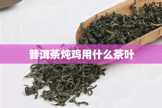 普洱茶炖鸡用什么茶叶