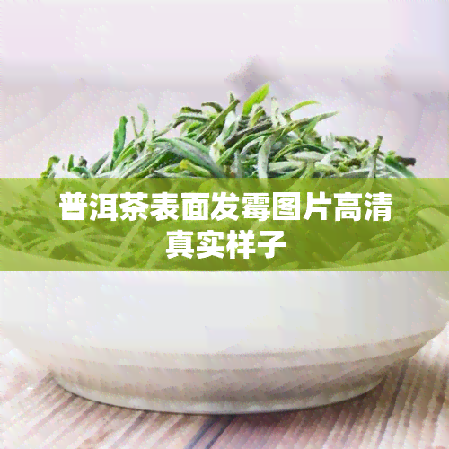 普洱茶表面发霉图片高 *** 实样子