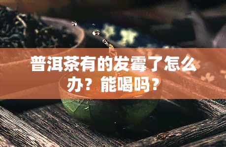 普洱茶有的发霉了怎么办？能喝吗？