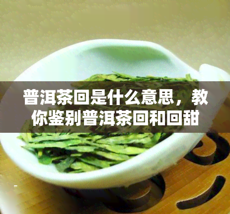 普洱茶回是什么意思，教你鉴别普洱茶回和回甜