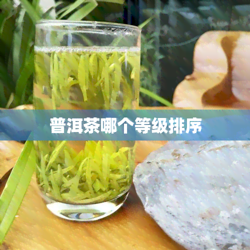 普洱茶哪个等级排序