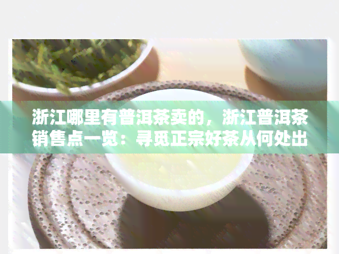 浙江哪里有普洱茶卖的，浙江普洱茶销售点一览：寻觅正宗好茶从何处出发？