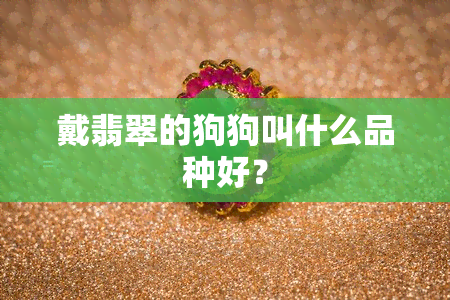 戴翡翠的狗狗叫什么品种好？