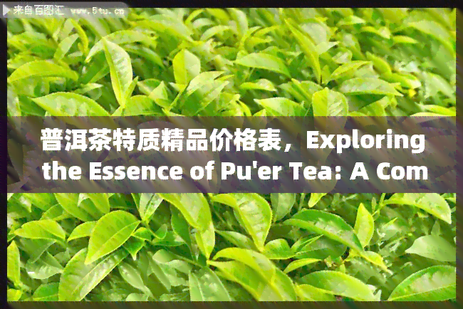 普洱茶特质精品价格表，Exploring the Essence of Pu'er Tea: A Comprehensive Price Guide to Fine Selections