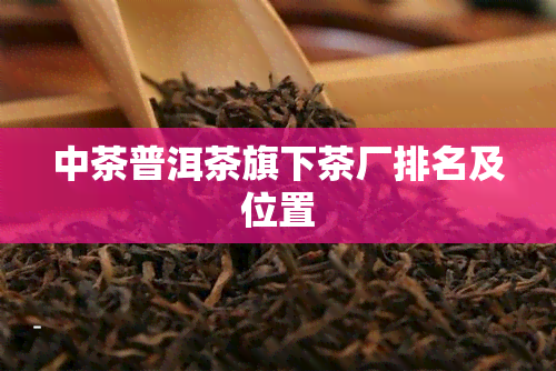 中茶普洱茶旗下茶厂排名及位置