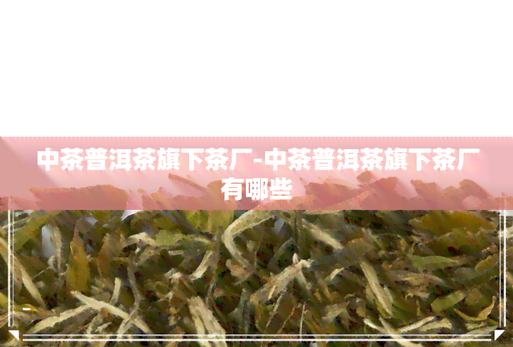 中茶普洱茶旗下茶厂-中茶普洱茶旗下茶厂有哪些