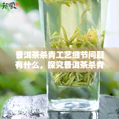 普洱茶杀青工艺细节问题有什么，探究普洱茶杀青工艺细节：关键问题一览