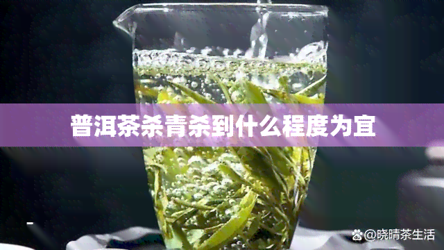 普洱茶杀青杀到什么程度为宜