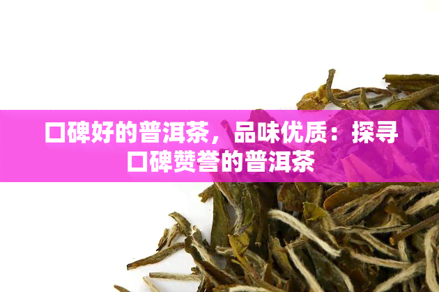 口碑好的普洱茶，品味优质：探寻口碑赞誉的普洱茶