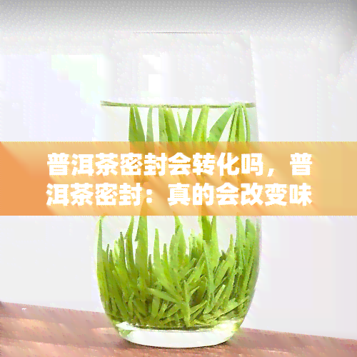 普洱茶密封会转化吗，普洱茶密封：真的会改变味道吗？